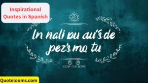 Read more about the article 💬 Inspirational Quotes in Spanish That Will Lift Your Soul and Brighten Your Day