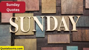 Read more about the article ✨ Sunday Quotes That Will Refresh and Reset Your Mind<p class="post-updated-date">🕓 <span class="updated-label">Last updated on</span> <time datetime="2025-11-03T06:38:59+00:00">November 3, 2025</time></p><script type="application/ld+json">
        {
          "@context": "https://schema.org",
          "@type": "BlogPosting",
          "mainEntityOfPage": {
            "@type": "WebPage",
            "@id": "https://quotelooms.com/sunday-quotes/"
          },
          "datePublished": "2025-10-22T06:12:17+00:00",
          "dateModified": "2025-11-03T06:38:59+00:00"
        }
        </script>