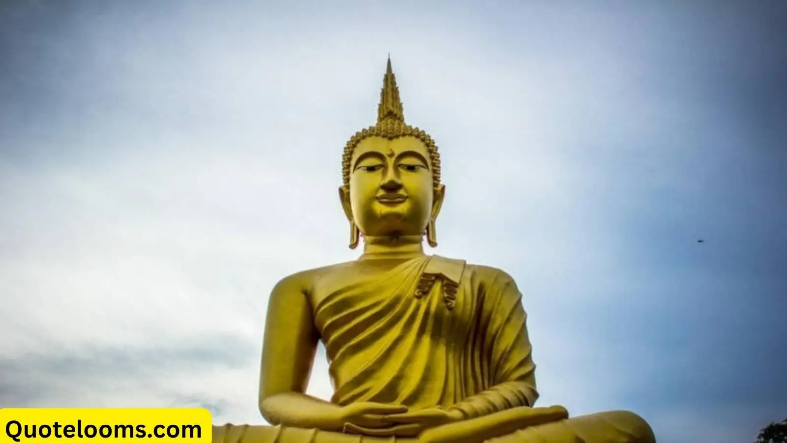 Read more about the article Buddha Quotes to Enlighten Your Mind and Soul