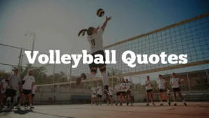 Read more about the article 297+ Epic Volleyball Quotes For Players, Coaches, and Fans Of 2026<p class="post-updated-date">🕓 <span class="updated-label">Last updated on</span> <time datetime="2026-03-14T18:25:09+00:00">March 14, 2026</time></p><script type="application/ld+json">
        {
          "@context": "https://schema.org",
          "@type": "BlogPosting",
          "mainEntityOfPage": {
            "@type": "WebPage",
            "@id": "https://quotelooms.com/volleyball-quotes/"
          },
          "datePublished": "2026-03-14T18:25:08+00:00",
          "dateModified": "2026-03-14T18:25:09+00:00"
        }
        </script>